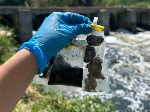 Investigan cómo los microbios sobreviven a la contaminación de Río Santiago