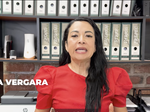 Regresa a la contienda: Ana Vergara ya podrá ser candidata y hacer campaña a la alcaldía de Juanacatlán