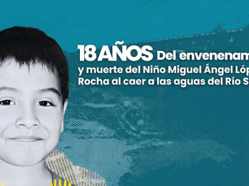 Miguel Ángel tendría hoy 24 años