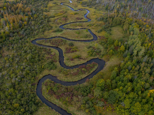 The Nature Conservancy: Revitalización de ríos: seis historias de esperanza