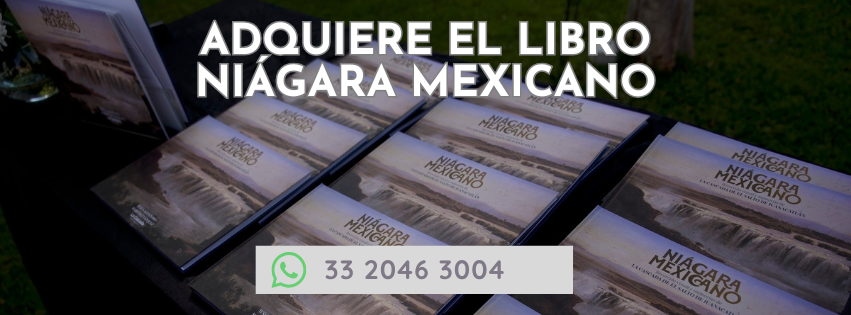Libro Niágara Mexicano