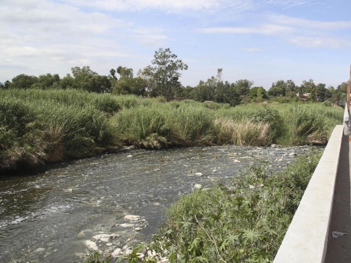 Abordan la diversidad de problemas del Río Santiago