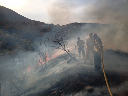 Afecta incendio 100 hectáreas en Juanacatlán