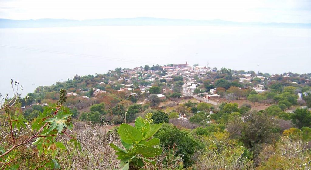 Agua contaminada en comunidades de Poncitlán enferma y mata 