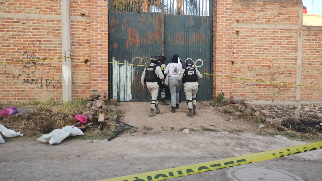 Hallan dos hornos clandestinos en finca de El Salto