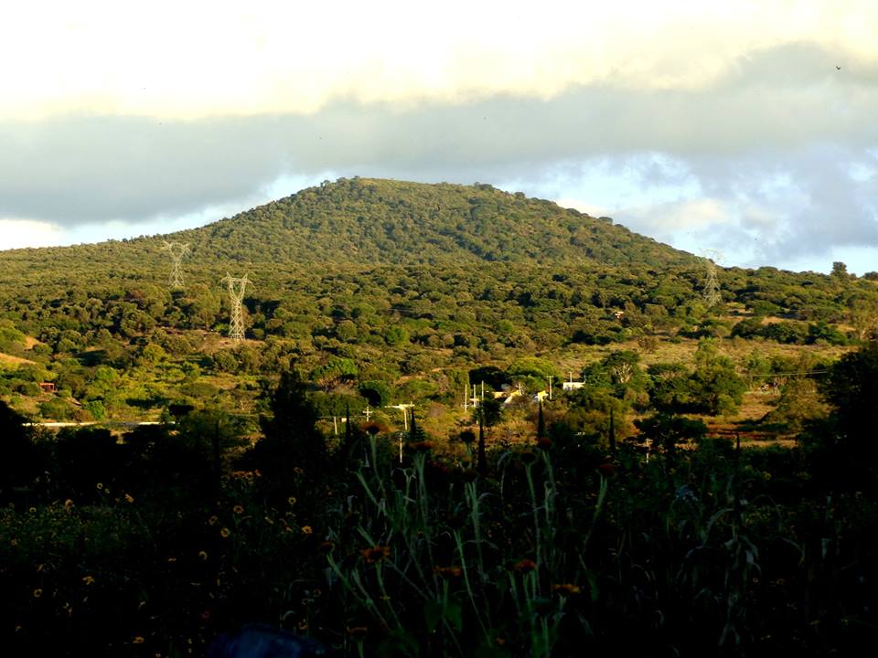 Buscan detonar ecoturismo