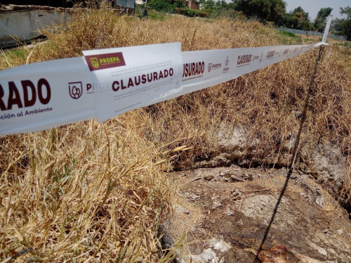 Clausuran Granja de Cerdos en Zapotlanejo