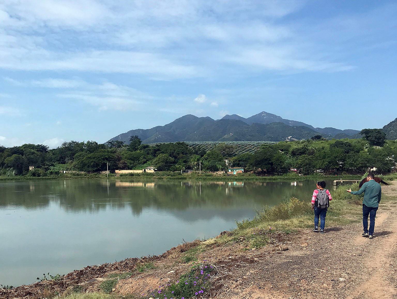 Crean un reactor para limpiar el agua de descarga de las tequileras