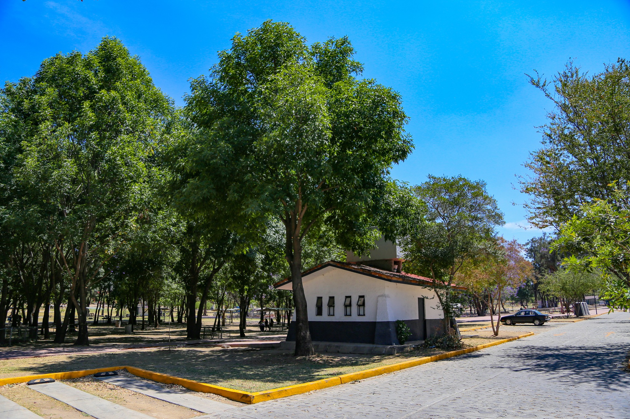 Parque Montenegro, único en la comunidad que pertenece a la Agencia Metropolitana de Bosques Urbanos