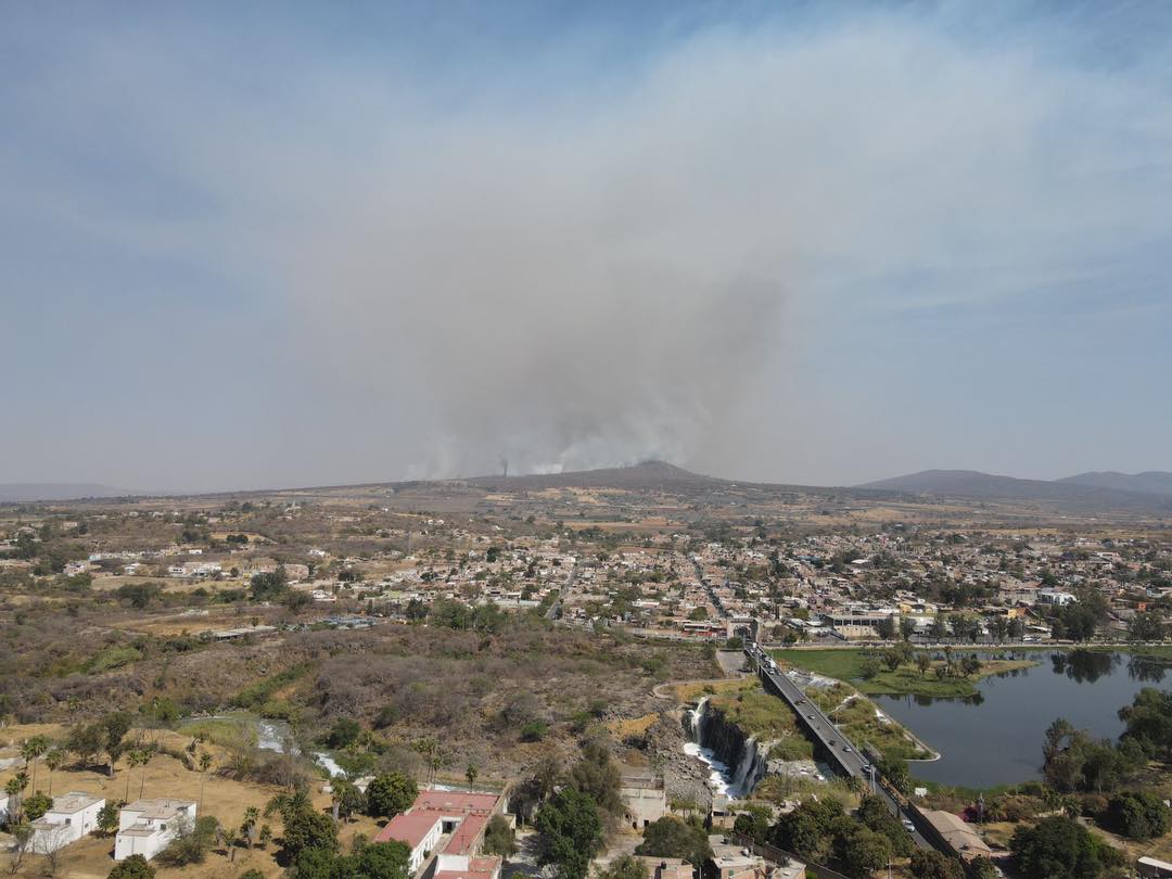 Cuidar los Bosques de Juanacatlán