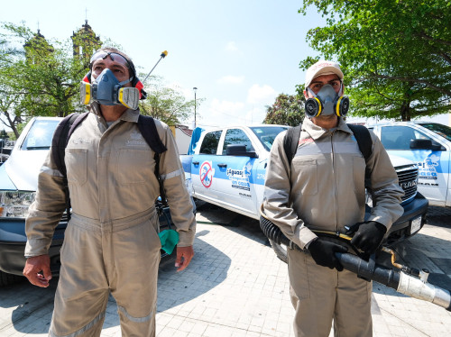 Dan banderazo en El Salto al Día "D" con acciones para luchar contra el dengue