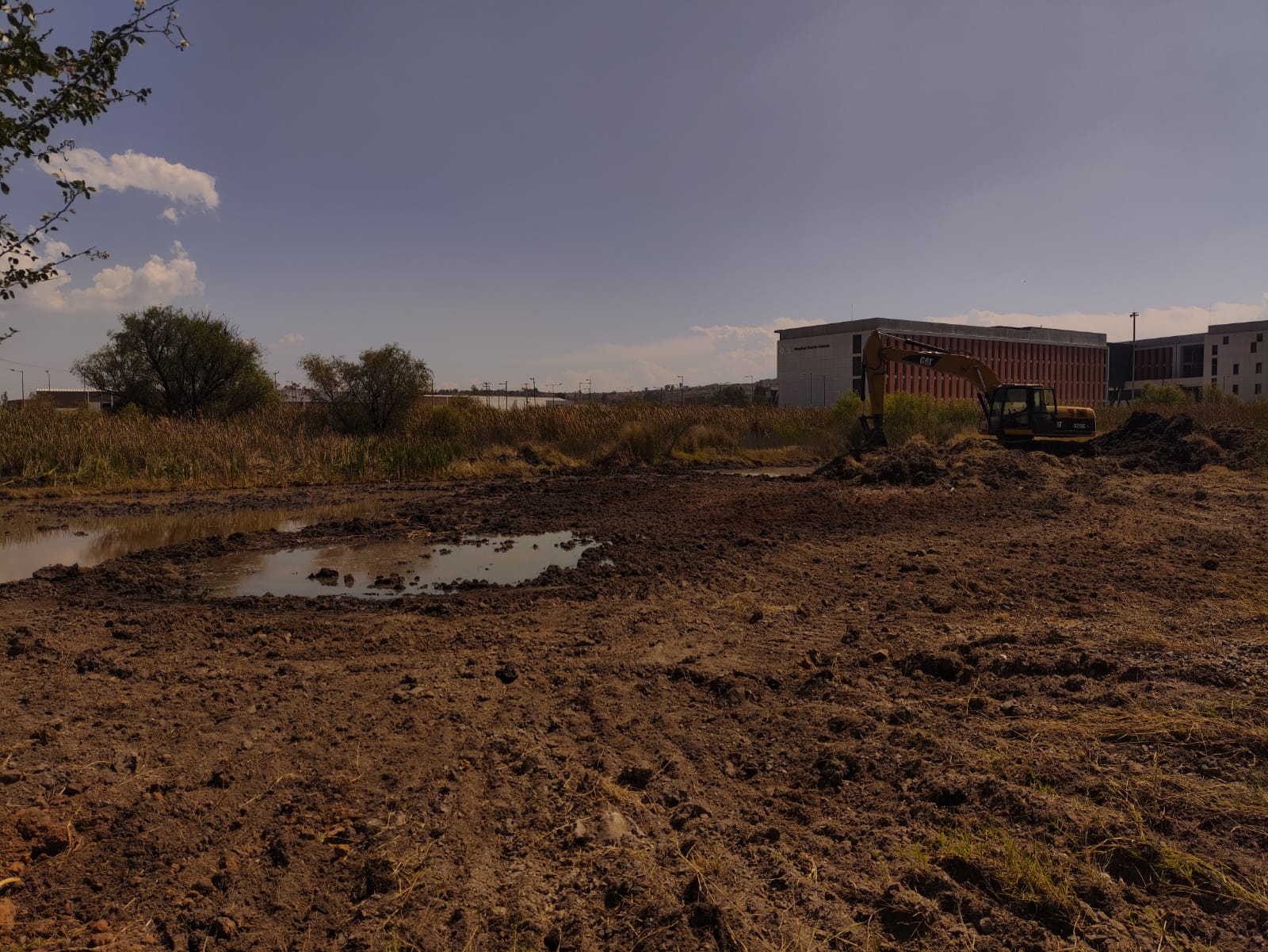 Denuncian a CUTonalá por invadir humedal para edificar estacionamiento