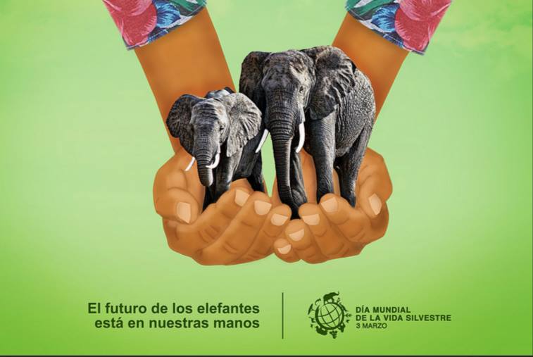 Día Mundial de la Vida Silvestre