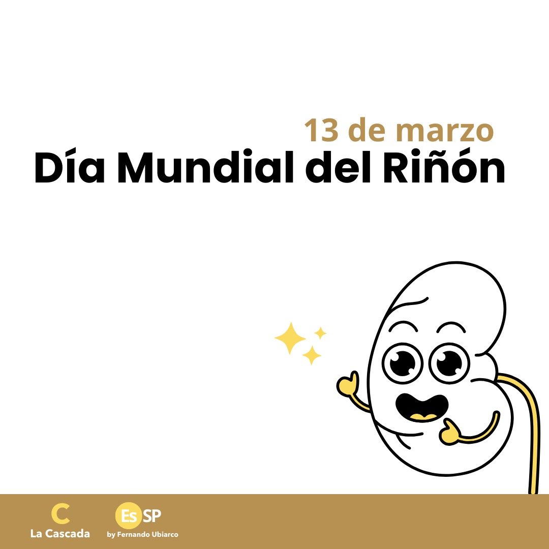 13 de Marzo: Día Mundial del Riñón