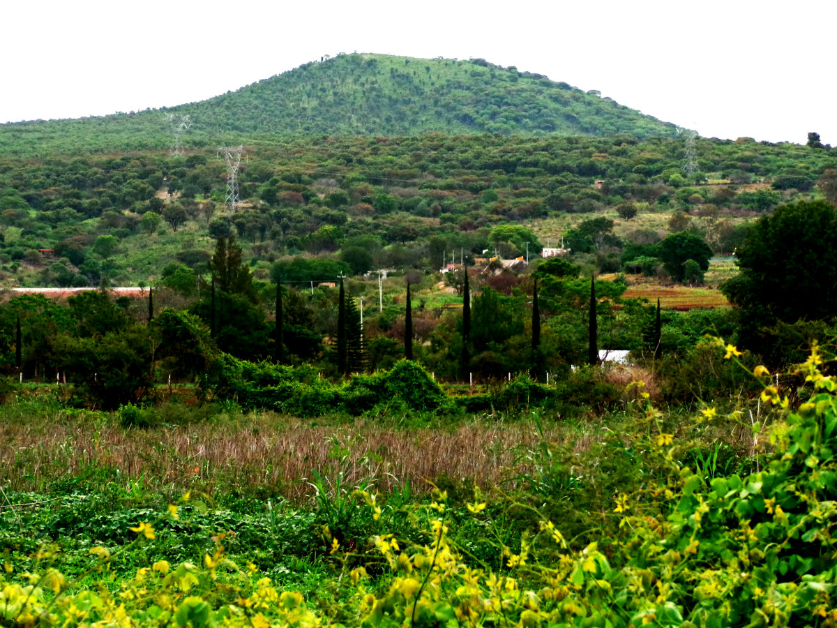 Domina el paisaje