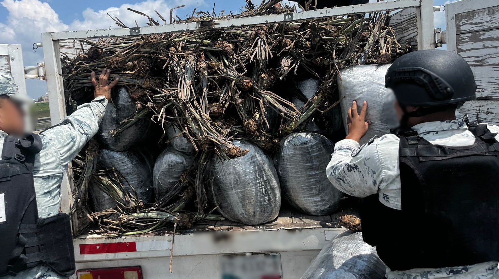 En Zapotlanejo: Guardia Nacional detiene a persona con unos 400 kilos de marihuana