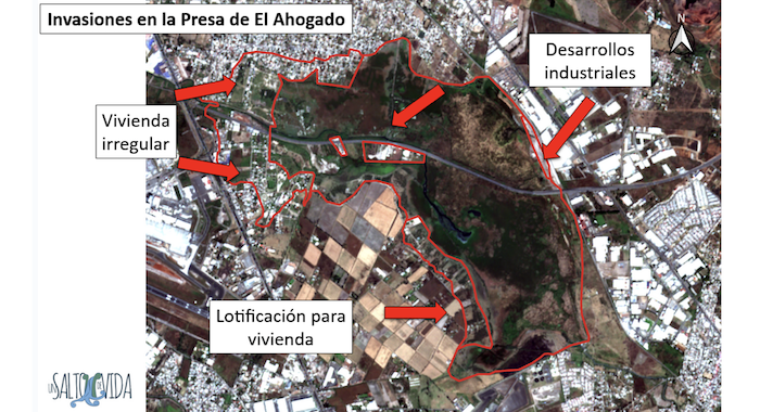 Exigen proteger Humedal de El Ahogado