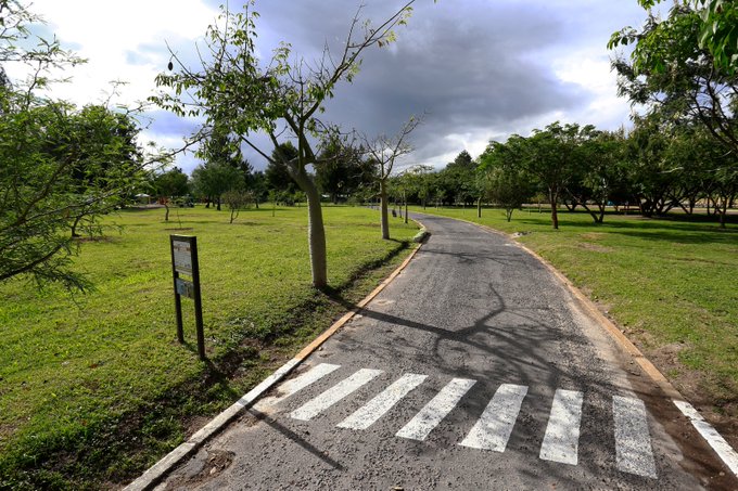 Faltan incluir a Red de Bosques Urbanos