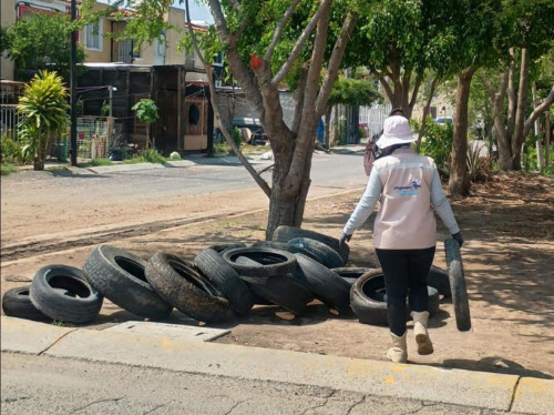 Fortalece Juanacatlán prevención contra el dengue