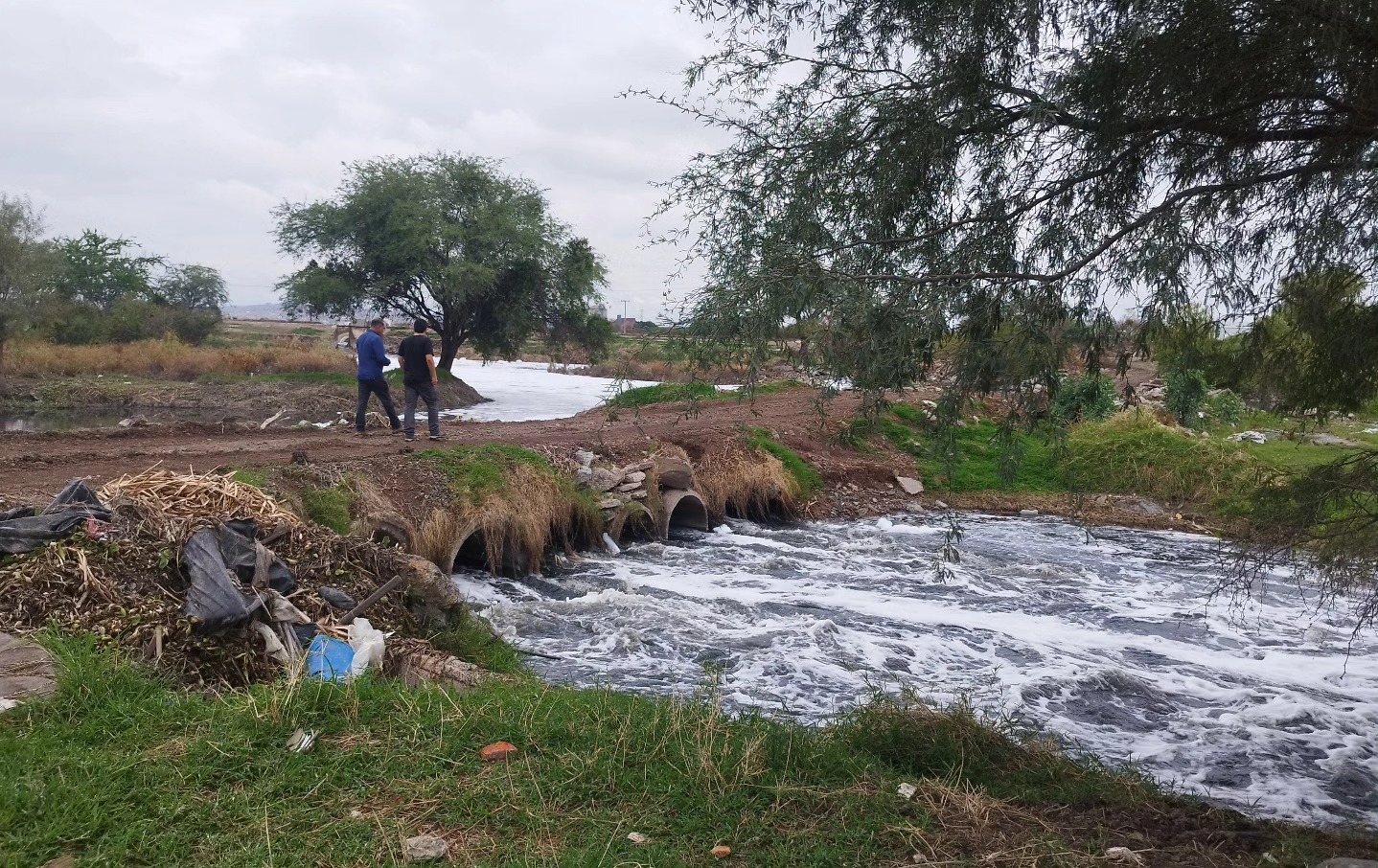 Graves amenazas al Humedal El Ahogado: denuncian desecación e invasiones urbanas