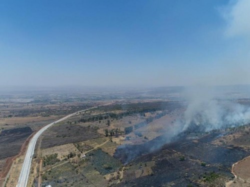 Van por 'congelar' predios siniestrados por incendios; proponen incluir a el cerro el Papantón