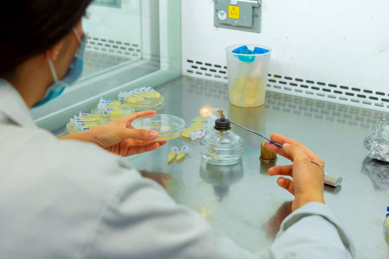 Investigan cómo los microbios sobreviven a la contaminación de Río Santiago