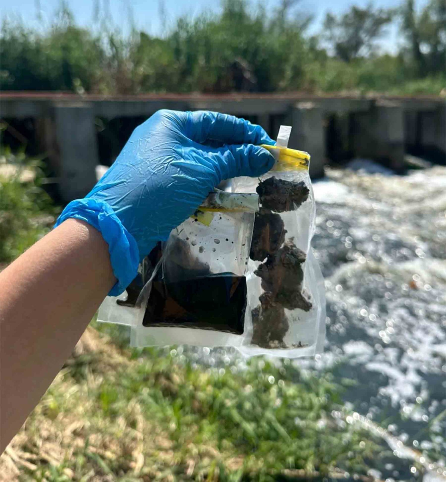 Investigan cómo los microbios sobreviven a la contaminación de Río Santiago