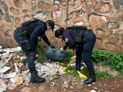 Investigan hallazgo de 25 cadáveres de perros y gatos en El Castillo