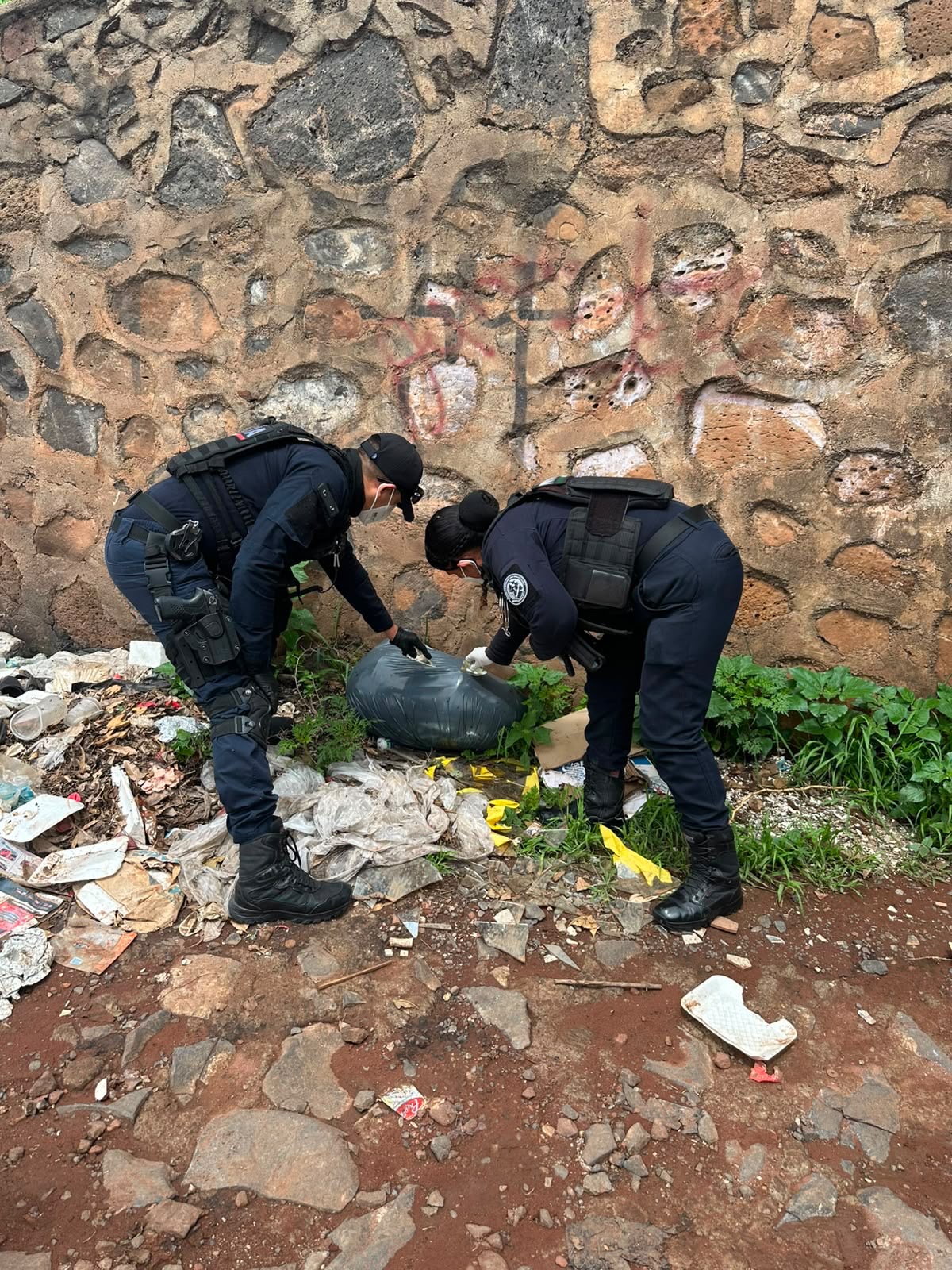 Investigan hallazgo de 25 cadáveres de perros y gatos en El Castillo