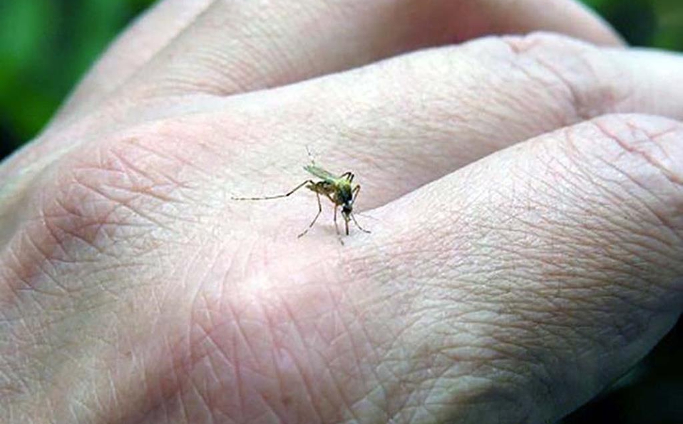 Jalisco se acerca a los 4 mil casos de dengue