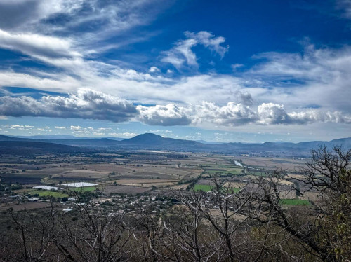 Juanacatlán: con 'líneas negras' buscan prevenir incendios en bosques