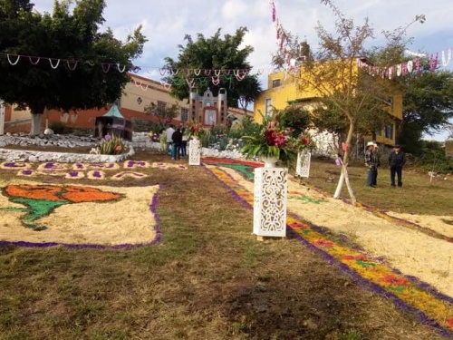 Temen pérdida de área verde en Juanacatlán  