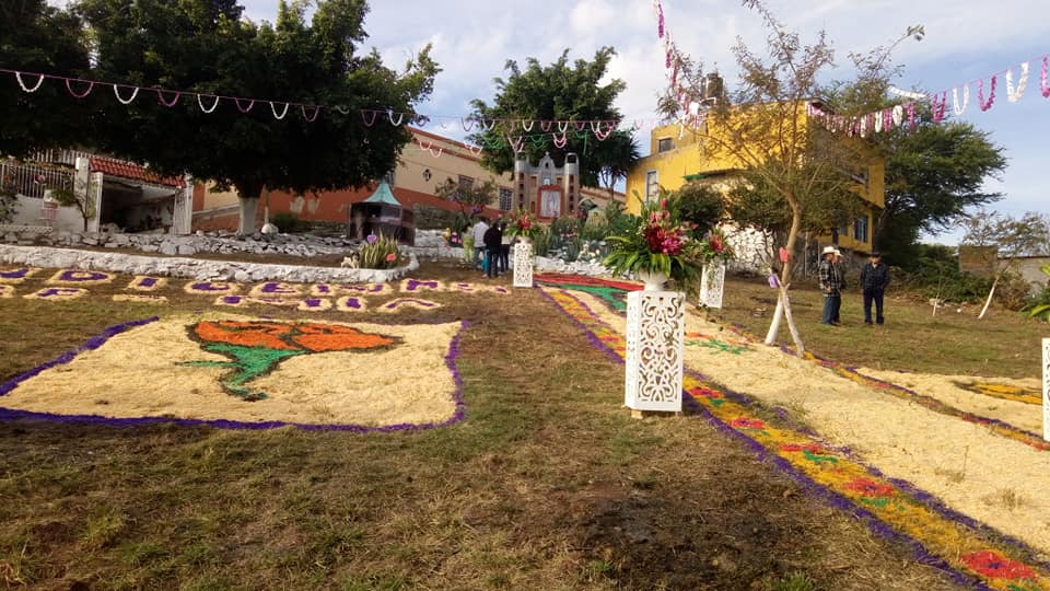 Temen pérdida de área verde en Juanacatlán  