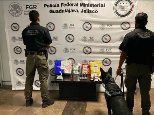 Localizan drogas en paquetería en El Salto