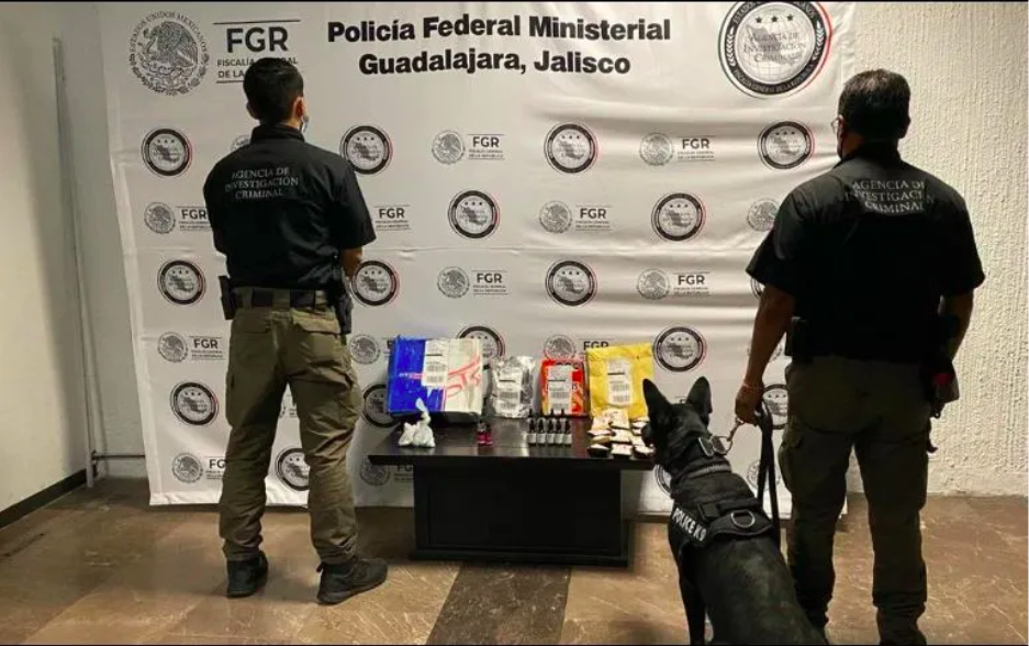 Localizan drogas en paquetería en El Salto