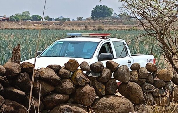 Localizaron cuerpo calcinado en Zapotlanejo