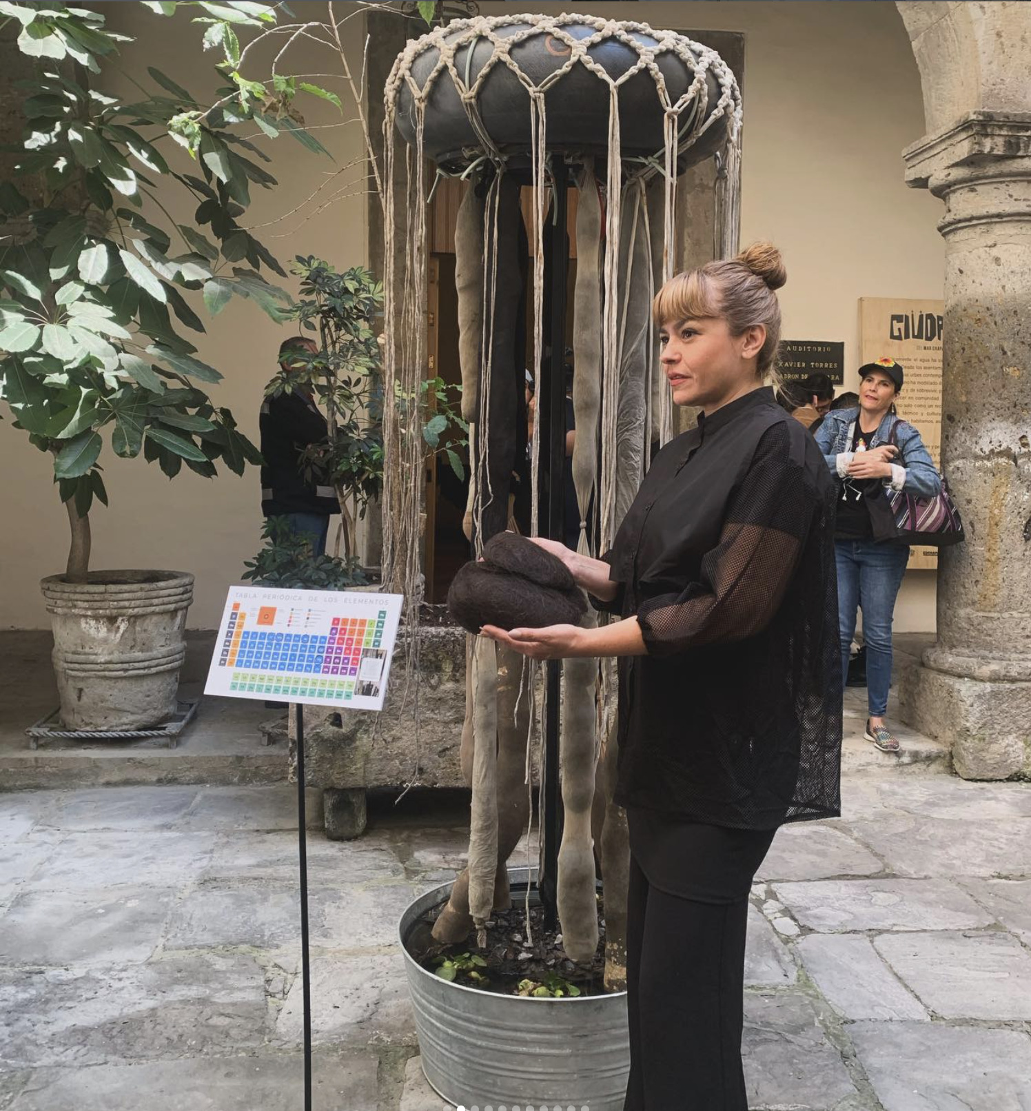 Proyecto Medusa en el Museo de la Ciudad