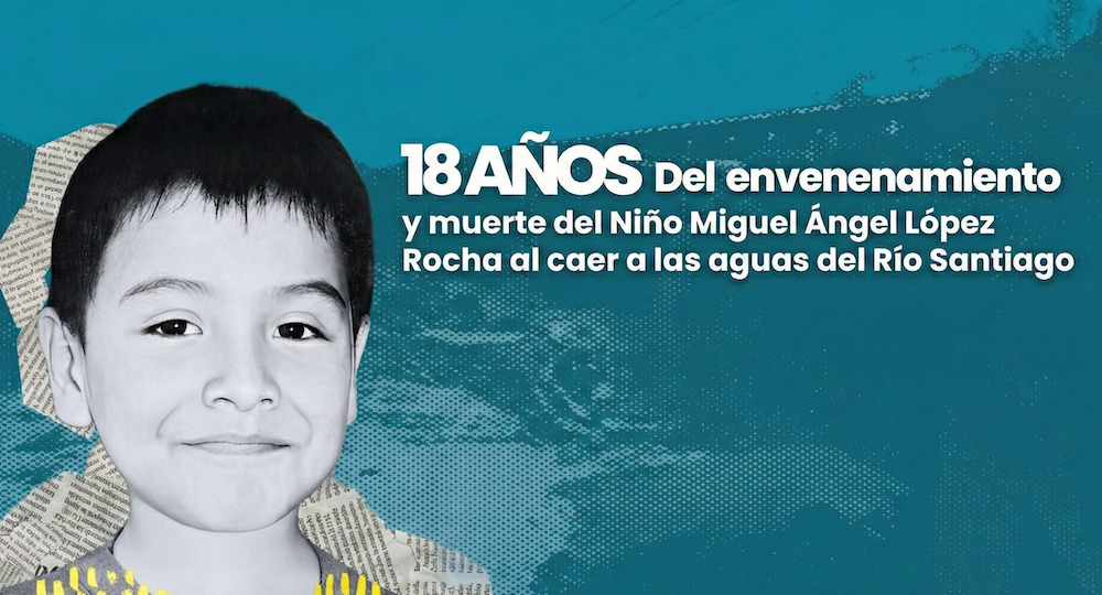 Miguel Ángel tendría hoy 24 años