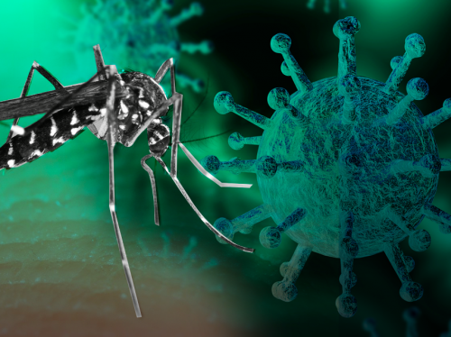 Muere saltense con diagnóstico de dengue y Covid