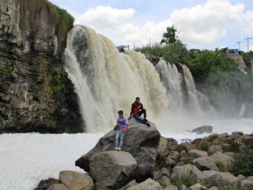 Muestra cascada 'retoños' de su belleza