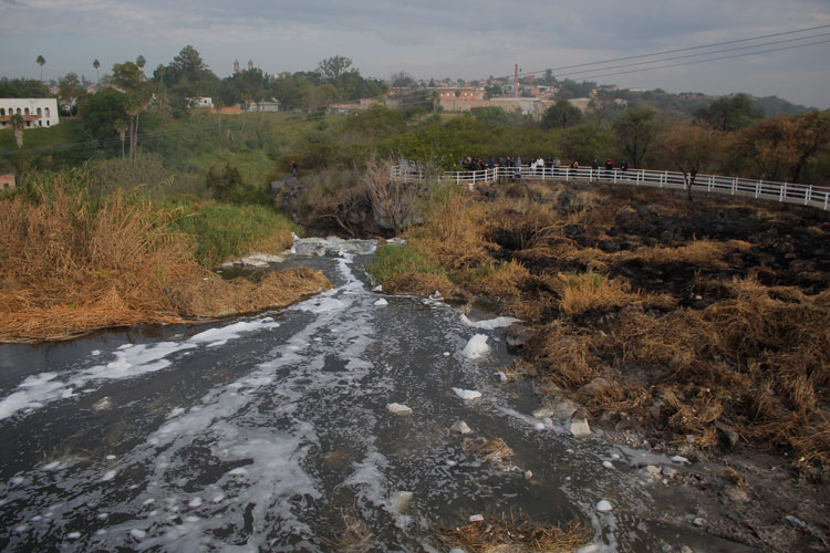 Olor a muerte sigue cubriendo el ambiente de El Salto