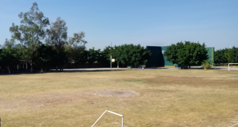 Permitir perros en Unidades Deportivas