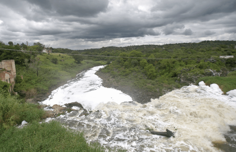 Pide se declare zona de Restauración Ecológica