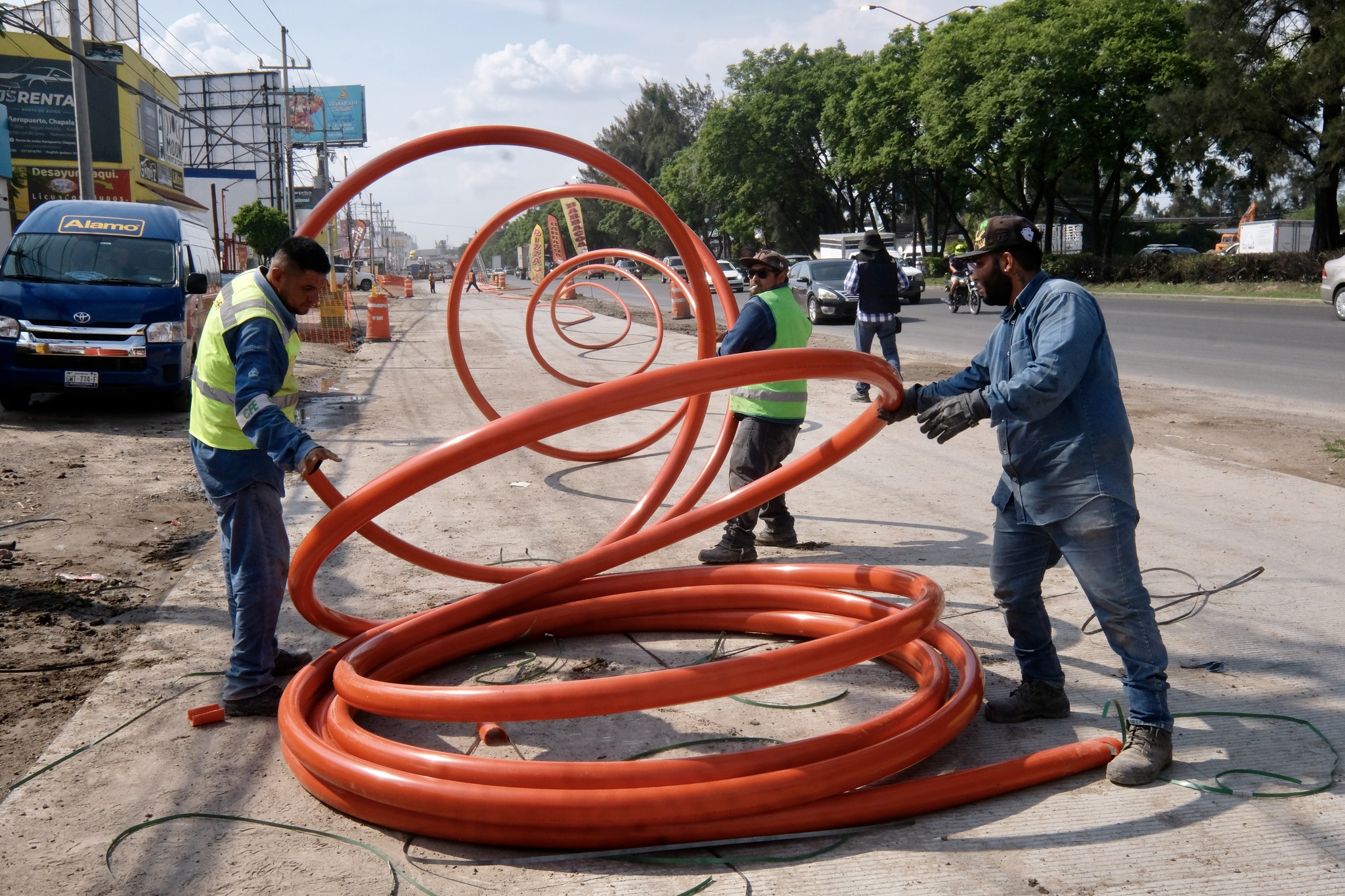 Por obras en Carretera a Chapala: Cerca de 400 árboles talados... y van por más