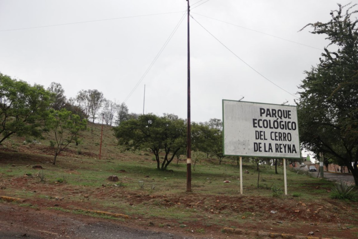 Proponen integrar Parque en el Cerro de la Reina a la Red de Bosques Urbanos