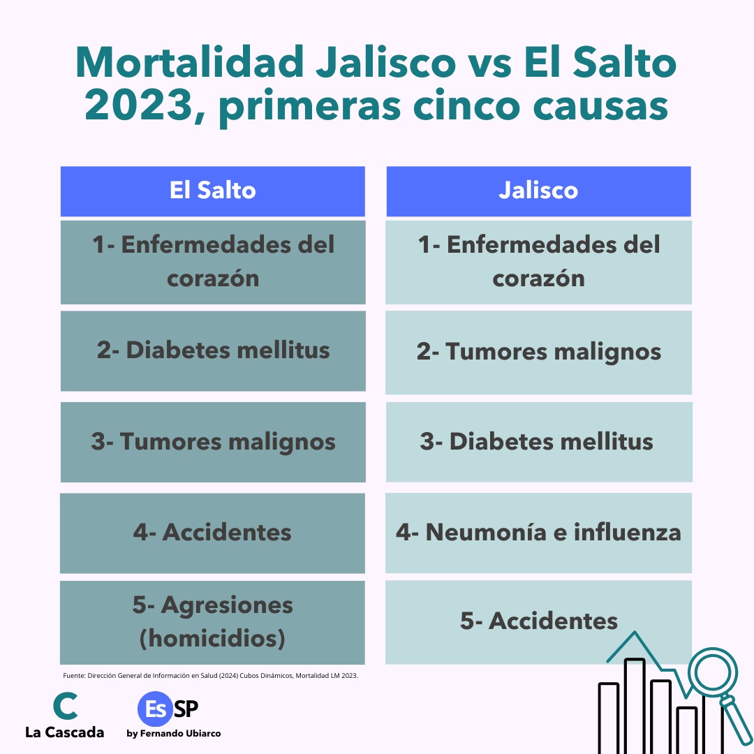 Principales causas de muerte en El Salto