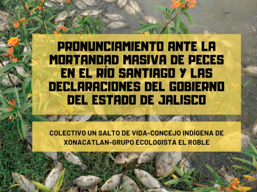 Ecologistas: mortandad de peces en Ex Hacienda no fue un evento puntual o único