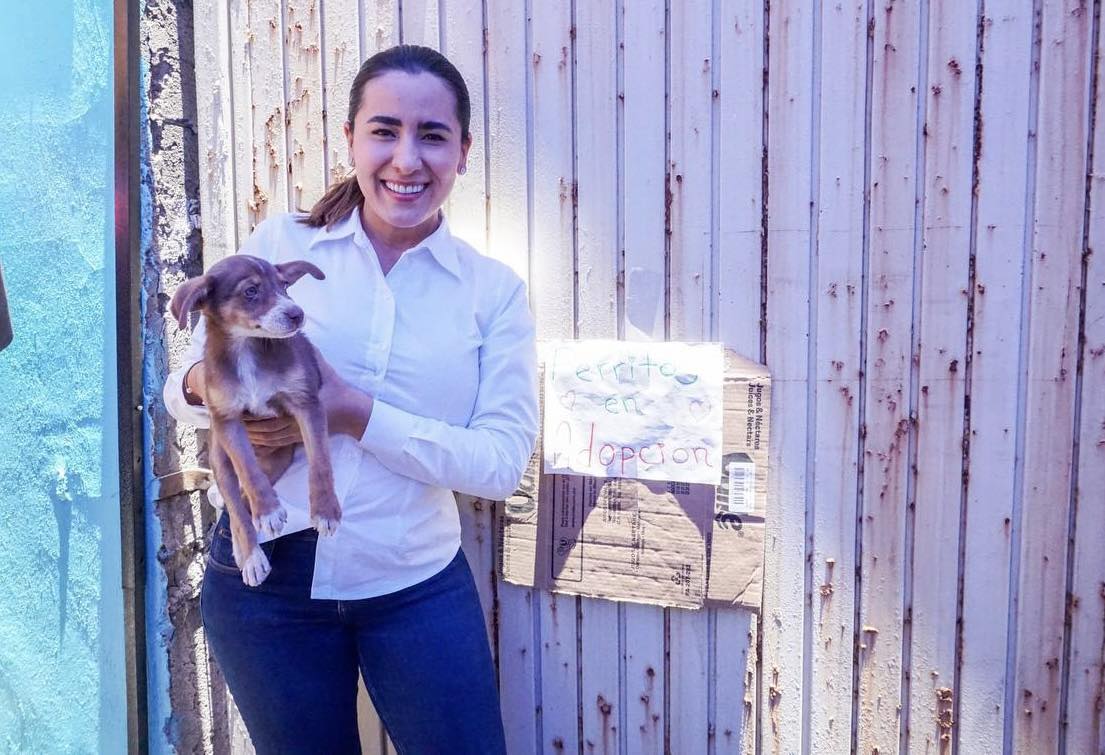 Propone Fany Padilla crear nueva Dirección de Bienestar y Protección Animal en El Salto