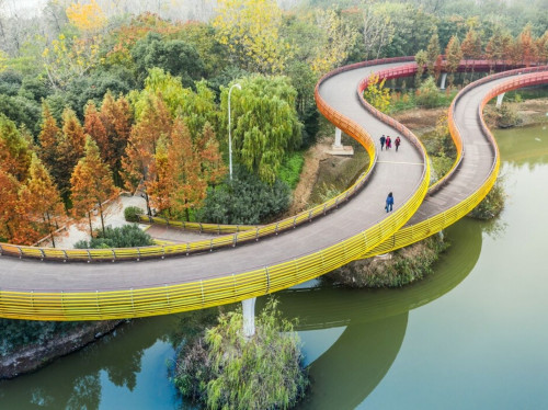 ¿Qué son las Ciudades Esponja? El Modelo que