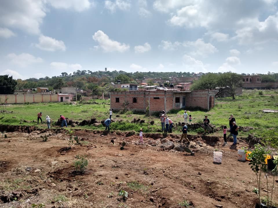 Reforestan zona de El Arroyito en Juanacatlán